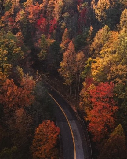 Meet Kahlua, Bailey, and Olie. Three very different personalities,...