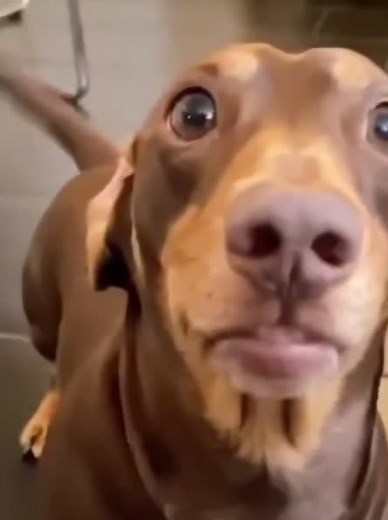 System Failure 3 on TikTok