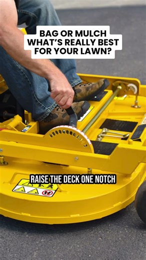 Bag or mulch—what’s really best for your lawn