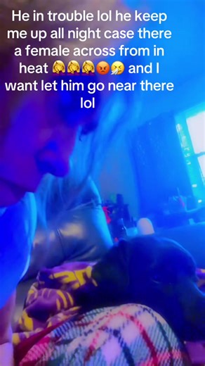 Perros en Problemas: Nocturna Decisión