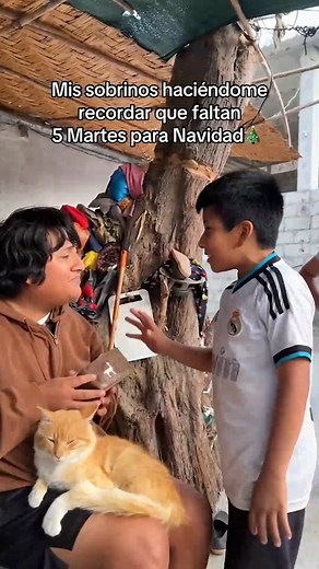 914K views · 25K reactions | #reelsviral #fypシ゚ #videosvirales #influencers #parati #viralreels #reels #tutorial #AmaZing #fypシ゚viral #fyp #tiktokerviral #peru #hombres #viral #humor #virals #Tiktok #tiktokviral | Sibenito | Facebook