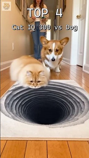 TOP 7 Cat IQ 300 vs Dog #1🧠🐶😹