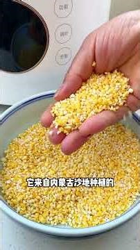 黏黏糊糊的糯玉米碴真的太好喝了，做饭比煮开水还简单#东北大碴粥 #妈呀太香了 #冬季暖胃美食 #好吃又营养