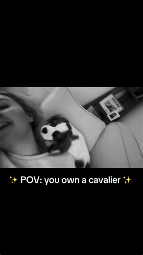 Puppy or parrot?! 🐶🦜🐾💙 #puppydog #dogsoftiktok #monty #dogsoftiktok #fyp