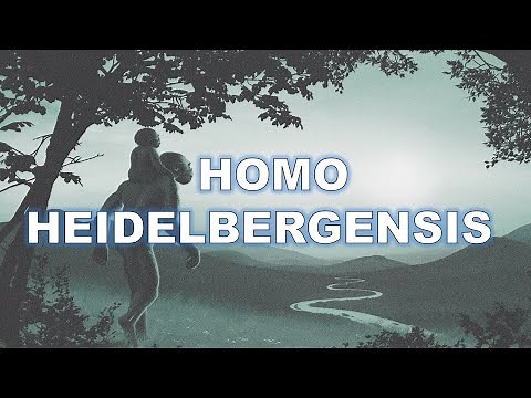 Homo heidelbergensis