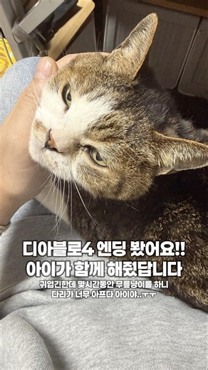 지난 주말 디아블로4엔딩을 함께 본 16살 고양이