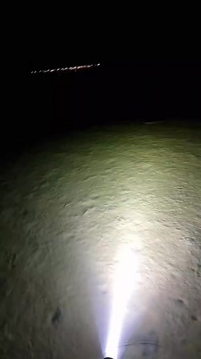 He lives in you 😍 #flounder #fyp #fishing #asmr #floundering #flounderfishing #floundergigging #flounderpounder #flounderfish #nz #fishingtrip #fishfreak #fishingtiktoks #fish #fishinglife #fishingislife #fisherman | LureThem