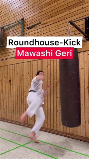 Mastering the Roundhouse Kick: A Comprehensive Karate Tutorial