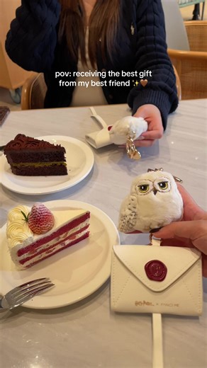 Receiving the Best Harry Potter Gift from a Best Friend