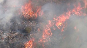 31K views · 585 reactions | #BREAKING: We're getting our first look this morning at the #TenderfootFire, which has burned over 600 acres and caused hundreds of evacuations near Yarnell. | FOX 10 Phoenix | Facebook