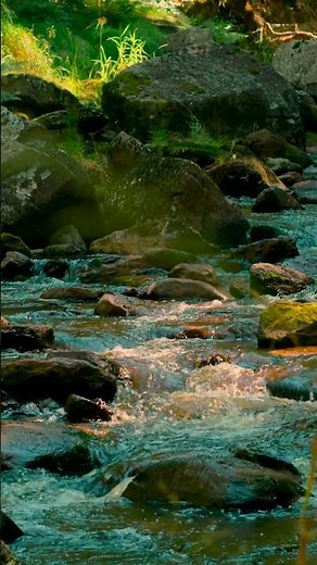 Musique Zen et douce avec le bruit de la Nature, la riviere qui coule et le chant des oiseaux