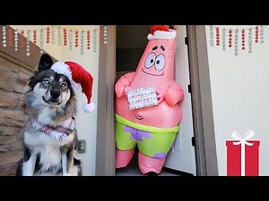 Kakoa's Pretend Play Gift Giving on Christmas!