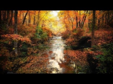 Chanson : Lost Spirits. AMV Apocalypse