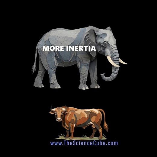 Inertia Is Not What You Think It Is