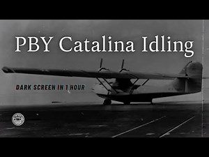 PBY Catalina Plane Idling | Relaxing Aircraft Engine Sounds for Sleep & Focus