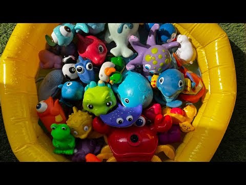 Sea Animal Toys & Facts for Kids | Learn Ocean Creatures for Preschool Learning| ocean creatures
