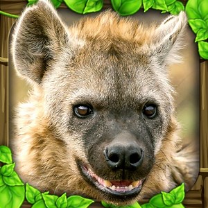 Hyena Simulator by Gluten Free Games