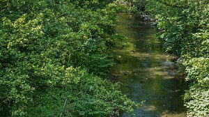 Wandern mitten im Ruhrgebiet – schöne Strecken, die es in Essen zu entdecken gibt