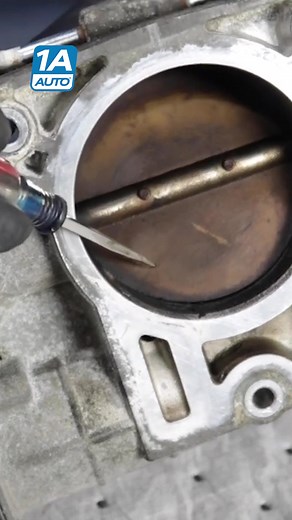 TikTok - Make Your Day