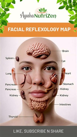 Your Face is a Map of Your Health: Understanding Facial Reflexology | NutriZen Wellness