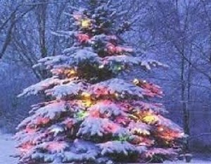 Annual Community Tree Lighting at Easton Public Library