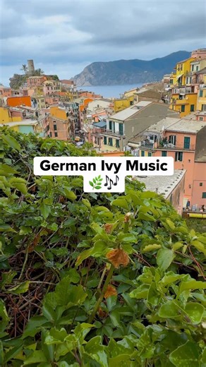 German ivy is known for its fast-growing vines and soft, rounded leaves, often cascading over walls and cliffs where land meets sea. It thrives in coastal air, soaking up moisture, light, and salt carried in from the water below. You can spot it by its dense green foliage and the way it spills naturally across stone and rooftops. Here in Cinque Terre, overlooking the sea, we connected this German ivy to PlantWave, letting its electrical activity shape a gentle, flowing melody in real time. A pla