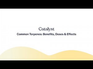 Common Terpenes: Their Benefits, Doses & Effects