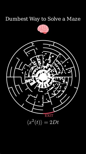 Is Randomness Better Than Intelligence? #maze #math #manim #physics #randomwalk