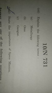 10/N 731(vii) Explain the following terms :(a) Metallurgy(b)... | Filo