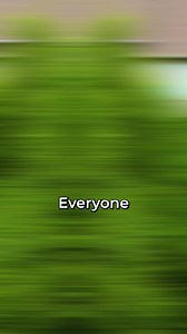 How to Care for Arborvitae Trees? #lawn #landscaping | Big Lakes Lawncare LLC.