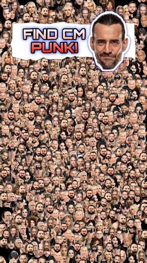 FIND CM PUNK - WWE