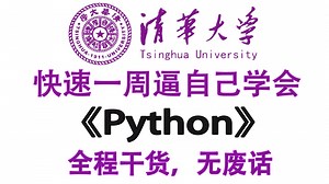 【Python期末3小时速成】B站2025年度最全最易学的Python零基础全套教程，专为小白而录制的Python入门教程！逼自己7天学会Python！