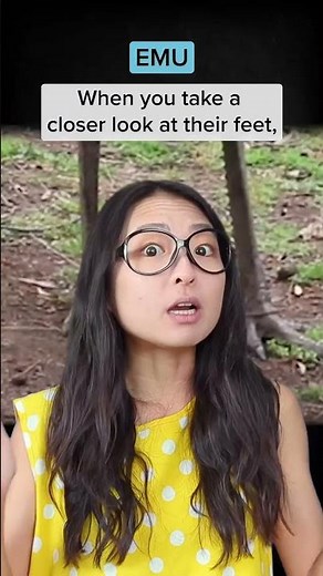 Emu vs Ostrich #facts #animals