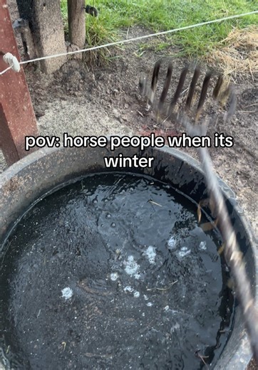 We loveee it don’t we😂 (For the people asking if im using a brander😭 its a very old manure picking set my mom used it for her horses when she was younger😂🙈) #winter #horsesinwinter #horses