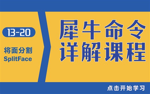 Rhino 犀牛命令工具操作详解课程13-20将面分割 SplitFace
