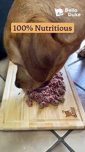 56 reactions · 16 comments | Ditch kibble, go fresh! Raw food will support your dogs's health & happiness, with fresh all natural ingredients. Give it a go and get 50% off your first box. | Bella+Duke | Facebook