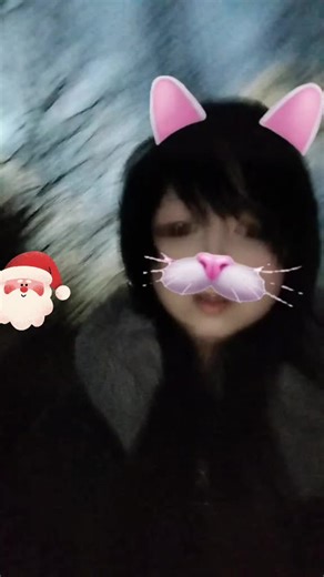 @jjquinz 7\\ #cat #kitty #catsoftiktok #2011 #funnymemes