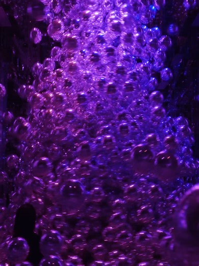 On view at “teamLab Biovortex Kyoto” Kyoto * Not made with AI or CGI