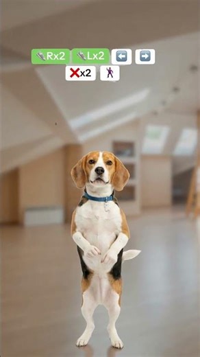 This beagle knows every step of the Cha Cha Slide 🐶 #Shorts