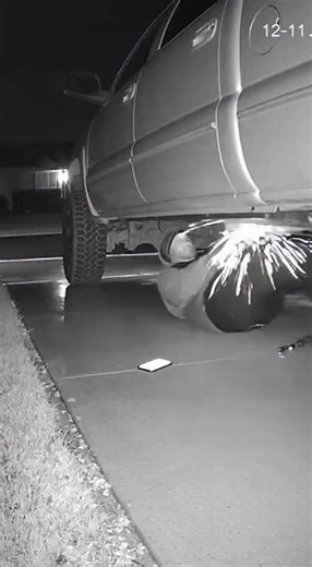 On January 19, 2026, in Bakersfield, California, a catalytic converter thief fled an attempted theft after realizing the property was guarded by multiple German shepherds. Security footage showed the suspect crawling under a vehicle before the dogs rushed toward him barking aggressively, forcing him to retreat immediately. Neighbors reported the incident to police, and residents said the experience was so intense that the thief would likely never attempt a similar crime again. Authorities later 