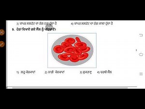 Class -9th Science CEP Assignment -5 Fully Solved