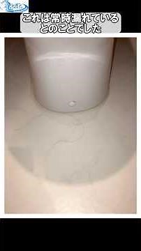 Fixing a Leaking SS371BABF Ball Tap #shorts #toilet #waterleak #leakingwater #balltap #TOTO #repa...