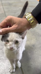 91K views · 3K reactions | Relaxare.. chiar nu am putut sa o iau. Este “proprietatea” baietilor de la Unimat. | Dr.Eugen Brîndaș | Facebook