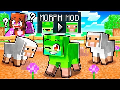 Utiliser la TRANSFORMATION pour tricher en Cache-Cache Minecraft !