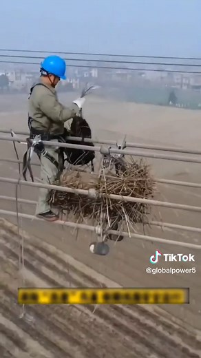 Electric power engineering (@globalpower5)’s videos with original sound - Electric power engineering