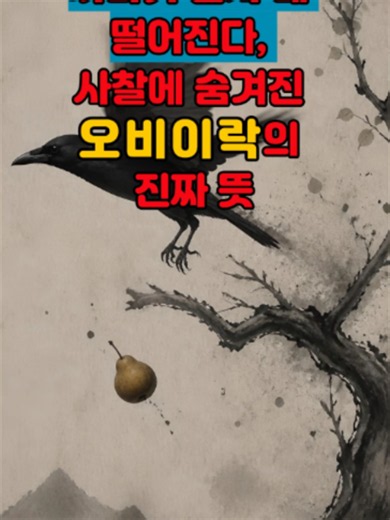 까마귀 날자 배 떨어진다 사찰에 숨겨진 오비이락의 진짜 뜻. #오비이락 #인생의지혜 #불교이야기 #불교명언 #삶의지혜 #인과응보 #업과인연 #마음공부 #명언 #좋은글 #유튜브쇼츠 #쇼츠 #Shorts