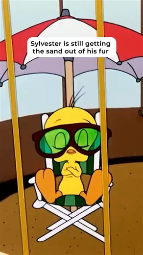 115K views · 2.8K reactions | Need Tweety's beach setup | Looney Tunes | Facebook