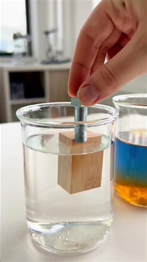 Density Experiment With Hands 🤲 | Floating & Sinking Science Activity