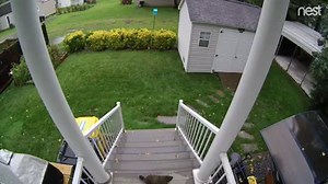 115K views · 444 reactions | Punxsutawney Phil decided to pay us a visit before his big decision today. #GroundhogDay #caughtonNestCam | Google Nest | Facebook