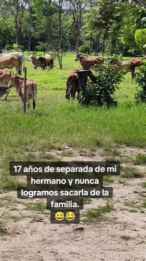 La excuñada en nuestras vidas: Una historia de familia